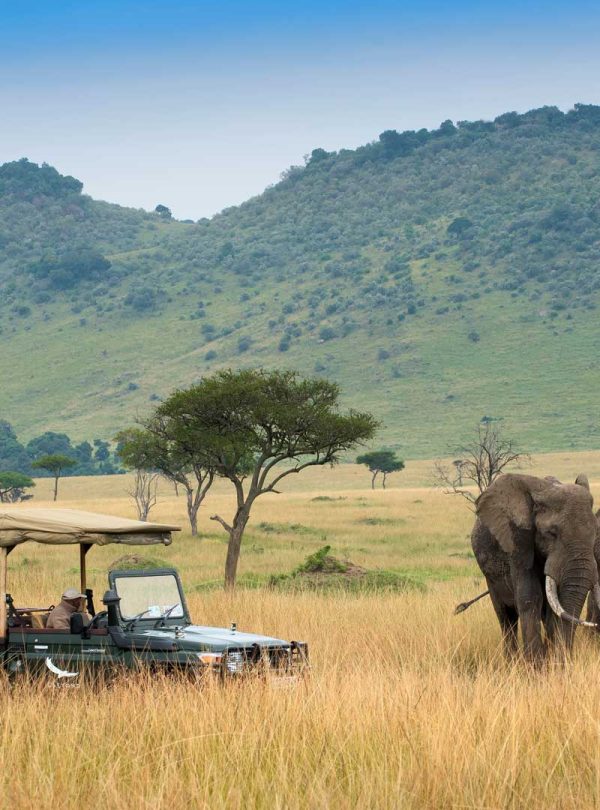 seeing-elephants-on-a-game-drive-in-the-masai-mara